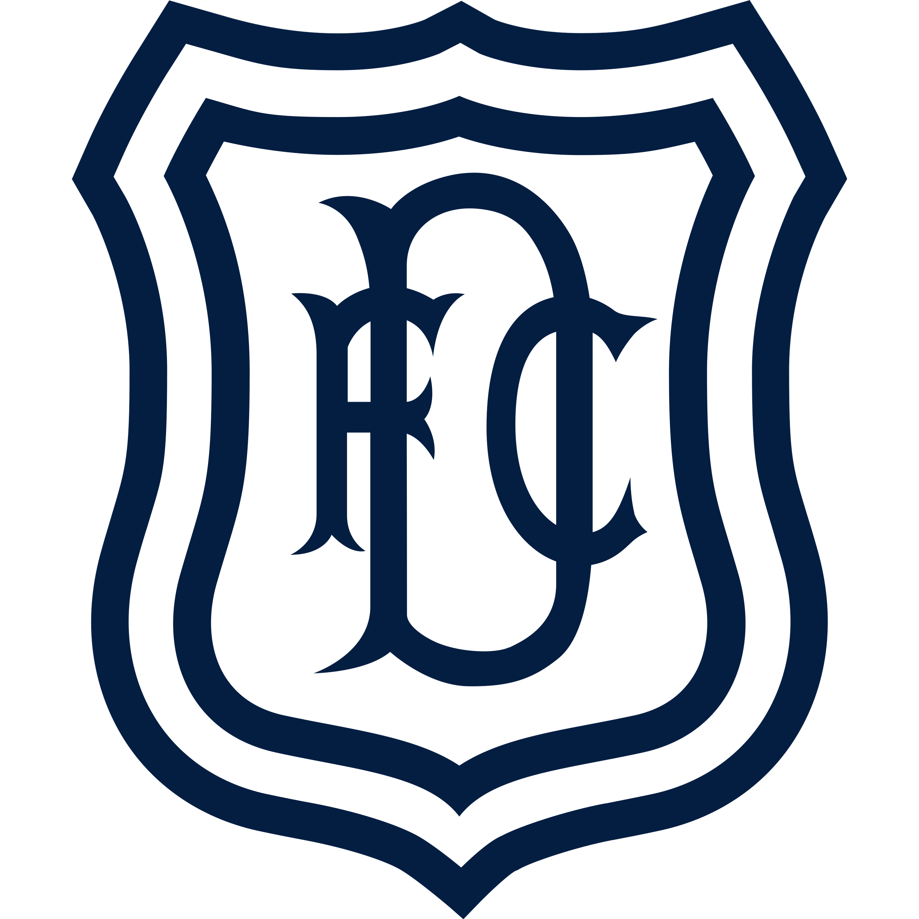 Dundee FC