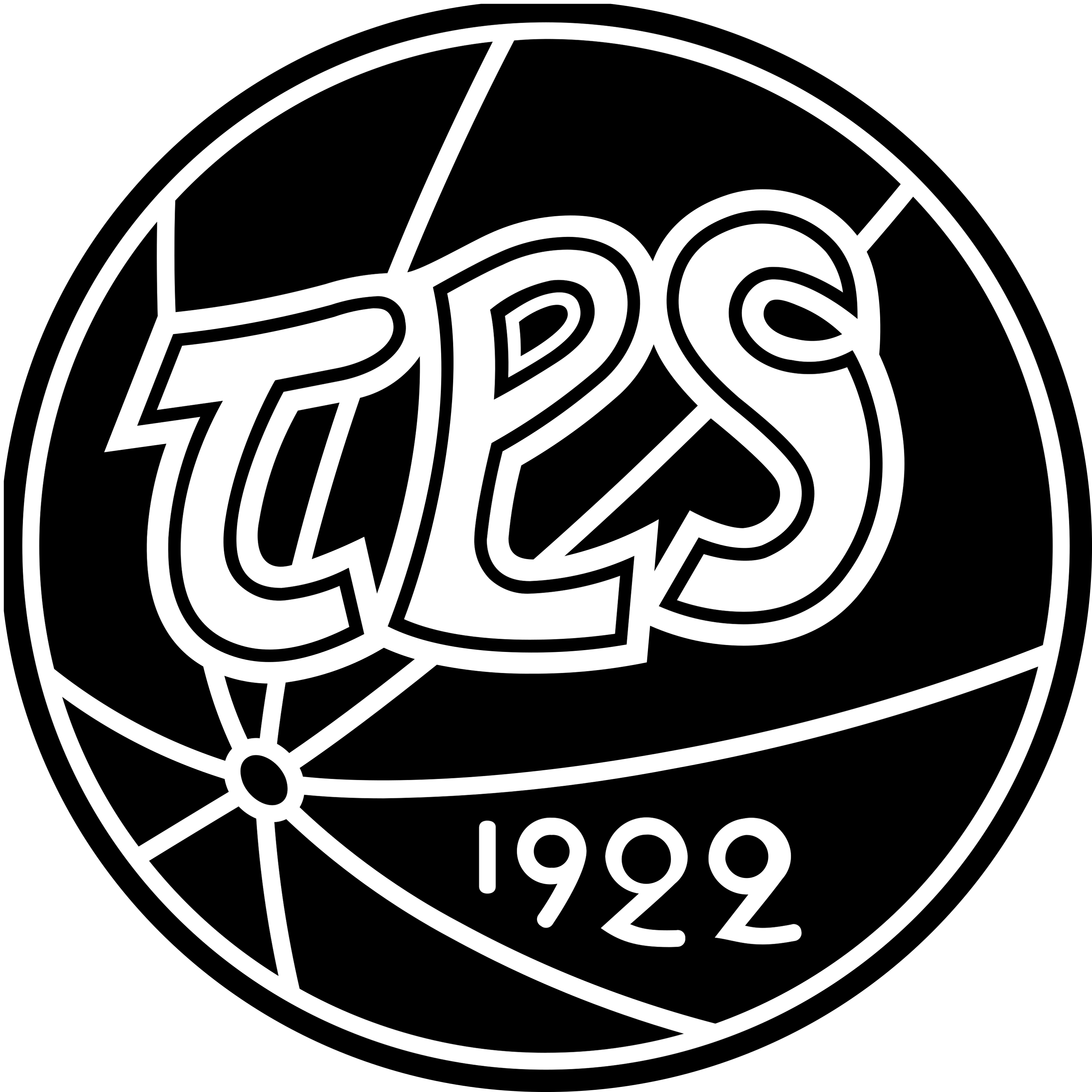 Turun Palloseura