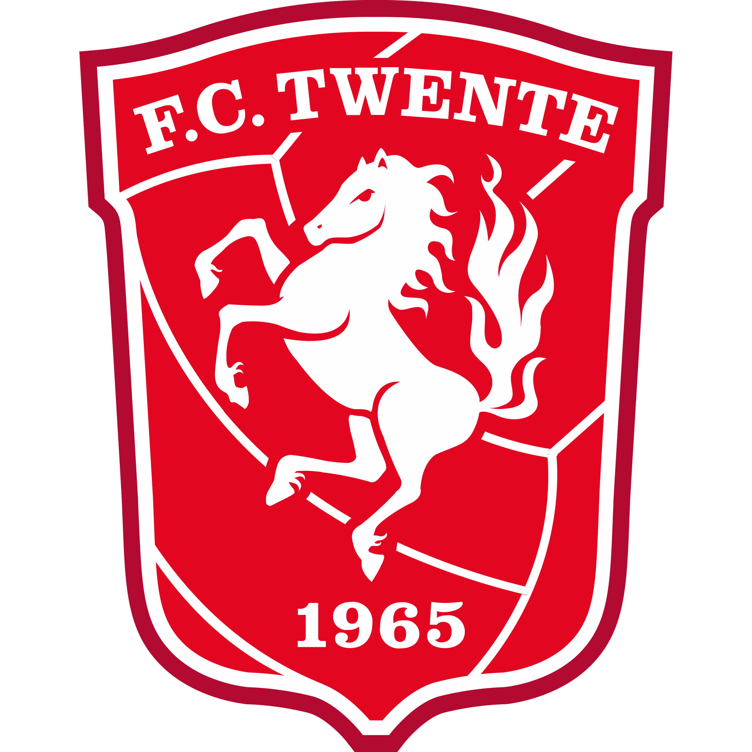FC Twente Enschede