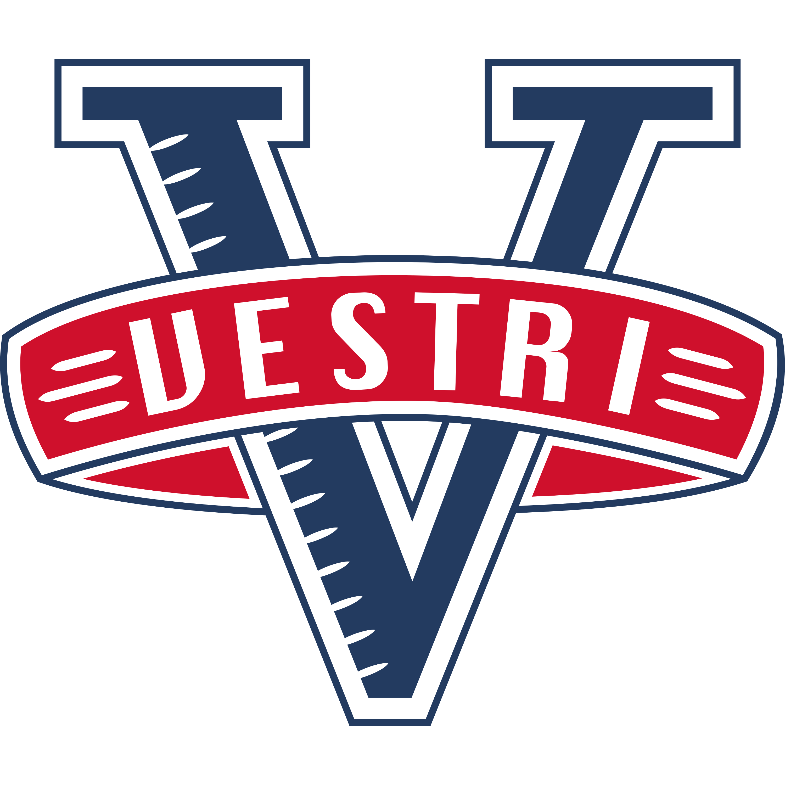 IF Vestri