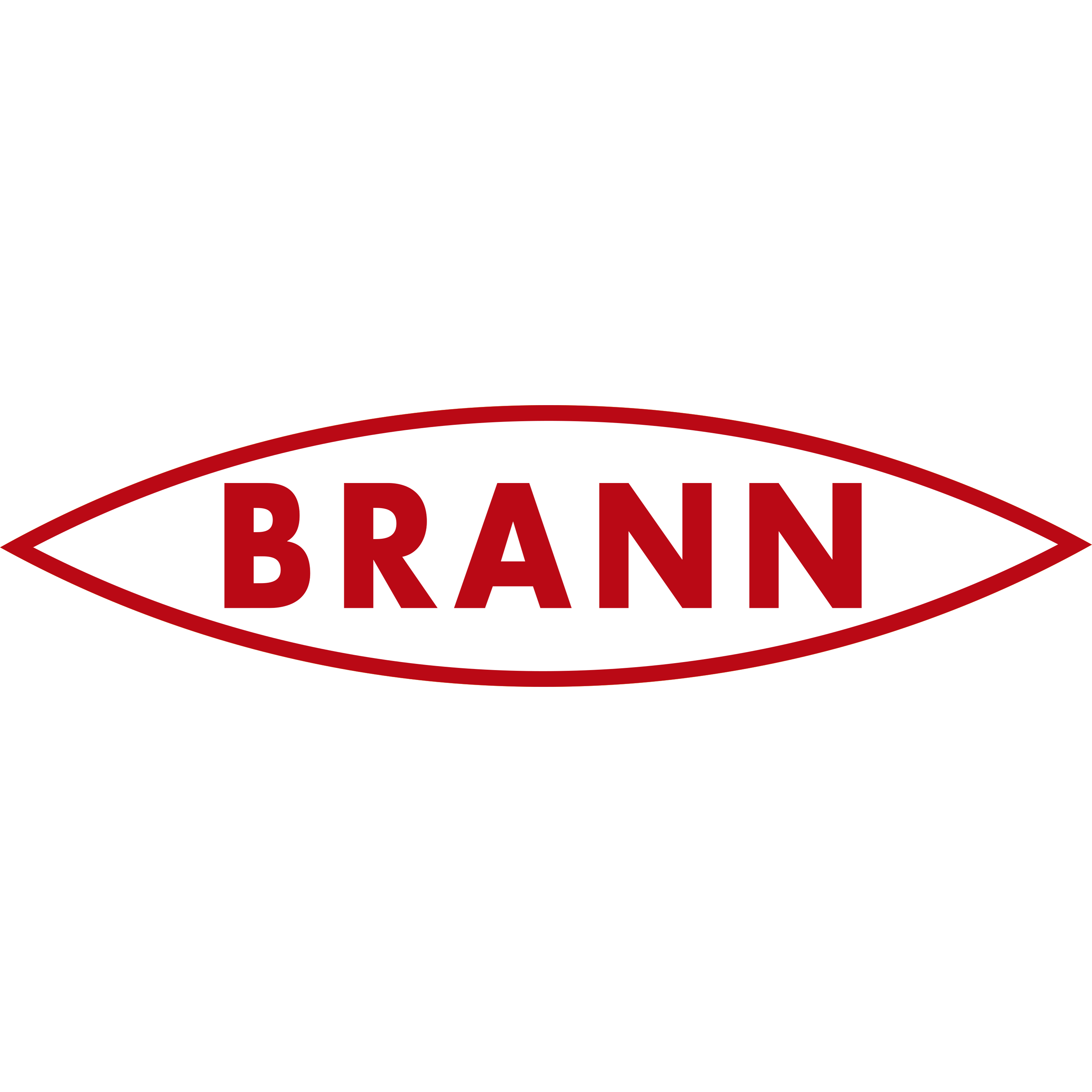 SK Brann