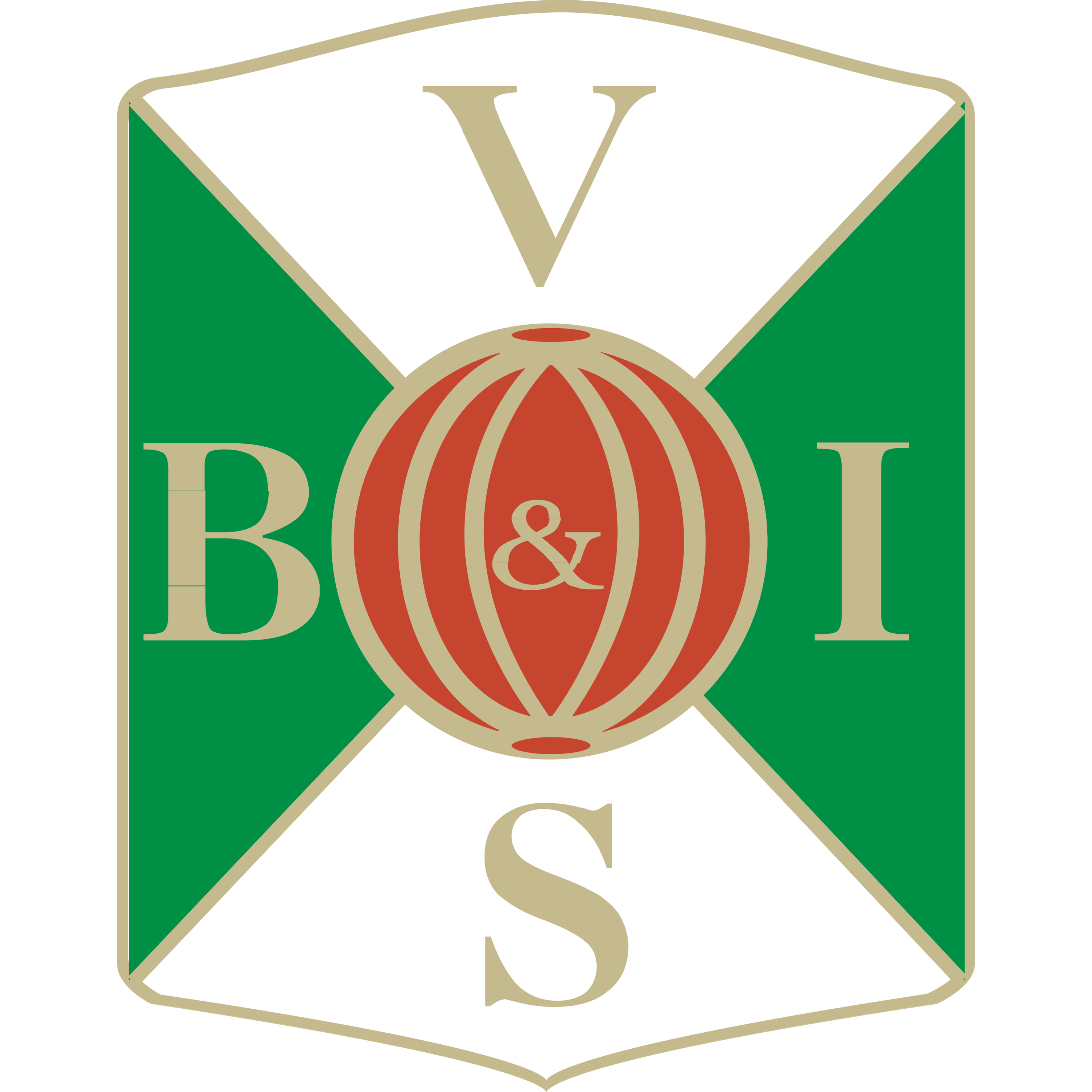 Varbergs BoIS